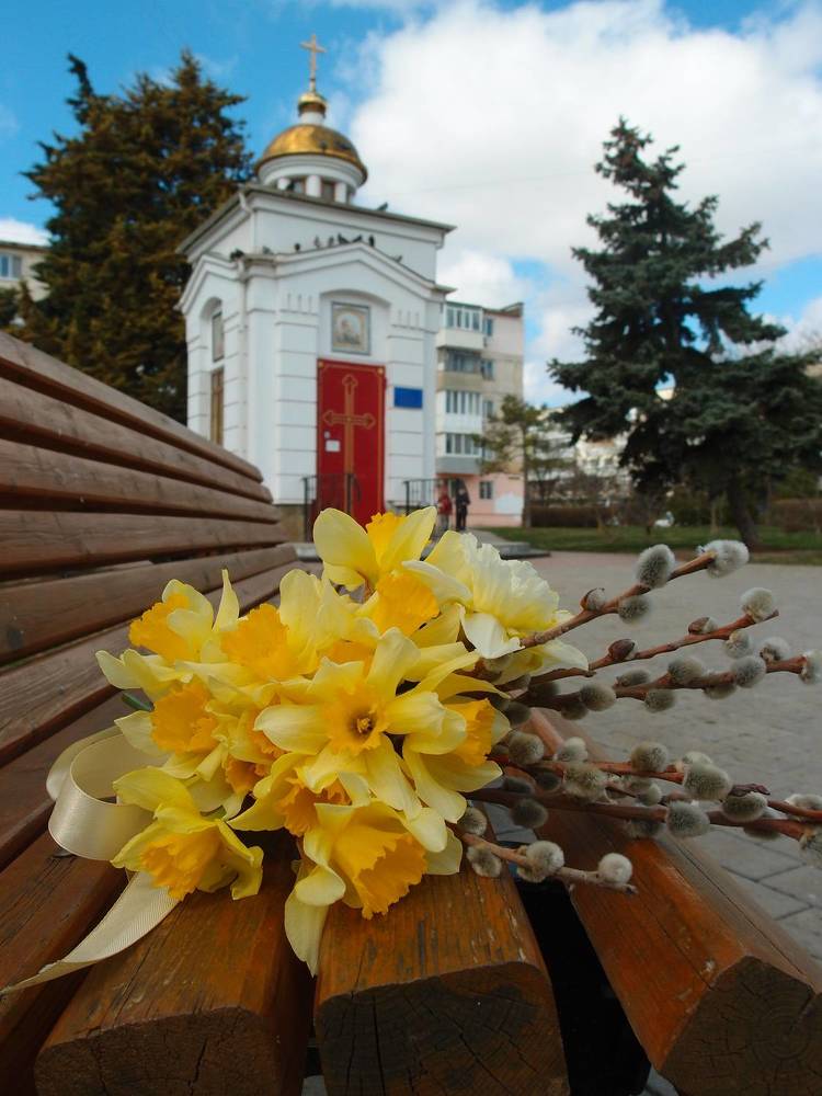 Путешествие нарциссов по Евпатории