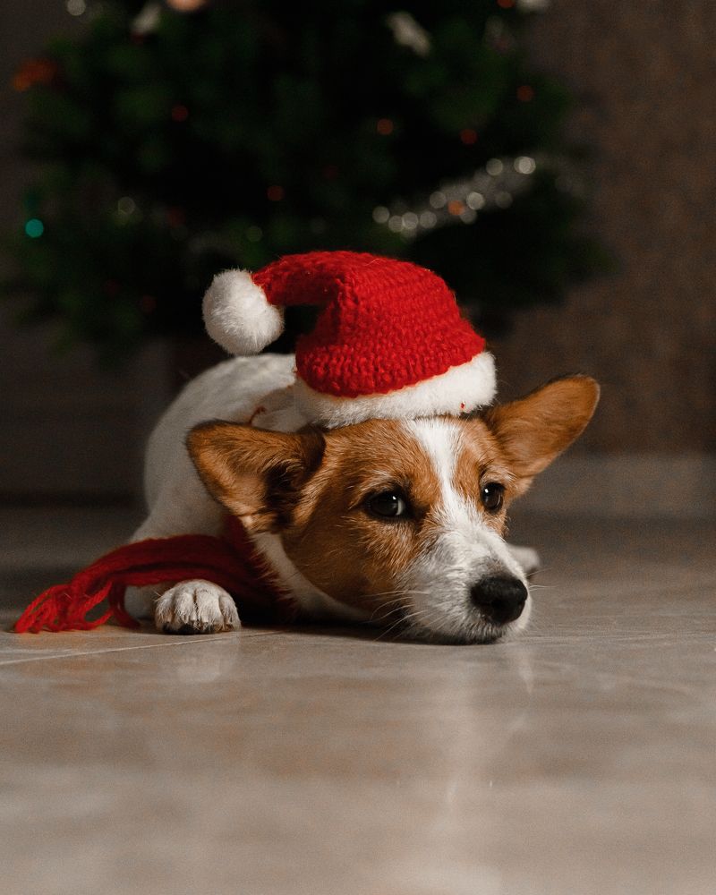 Photograph by Ольга Рачилова