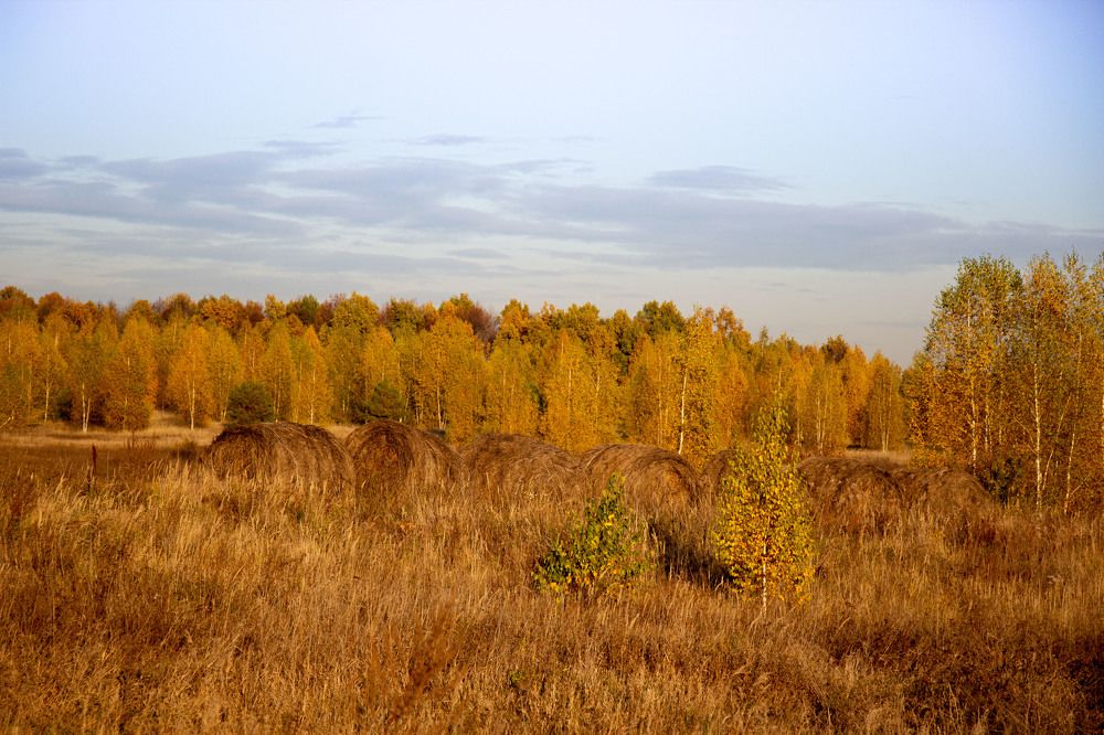 Фотография автора Елена Запертова