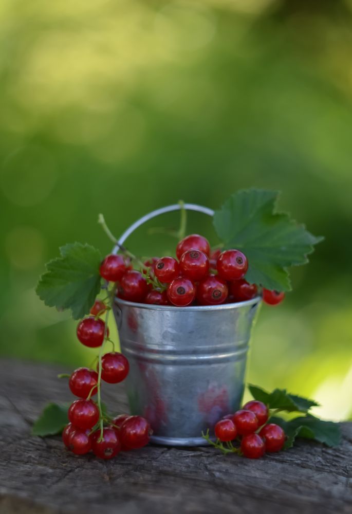 Photograph by Ирина Никульча