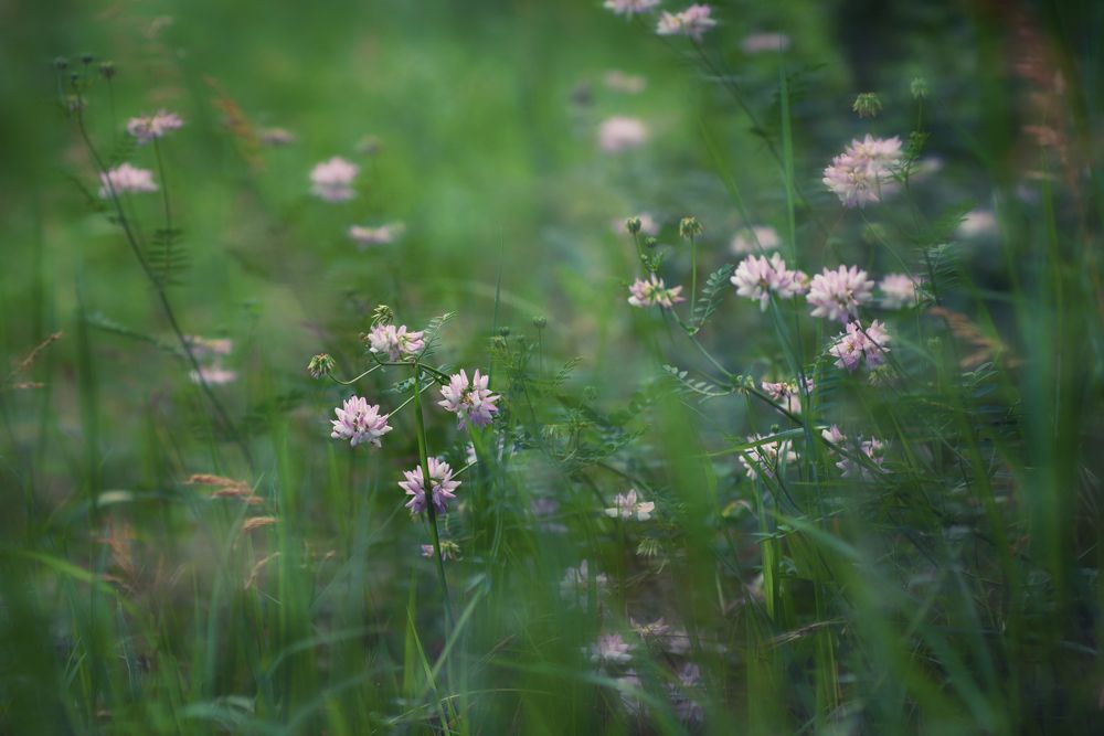 Photograph by Оксана Пономаренко