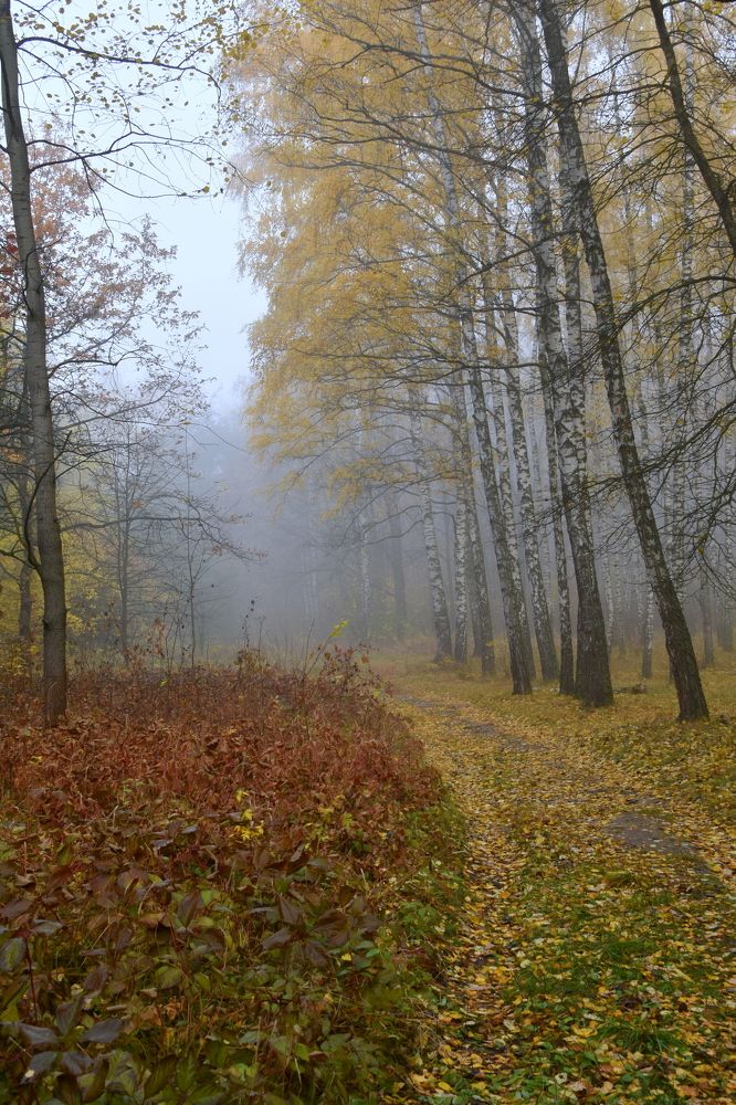 Photograph by Татьяна Калугина