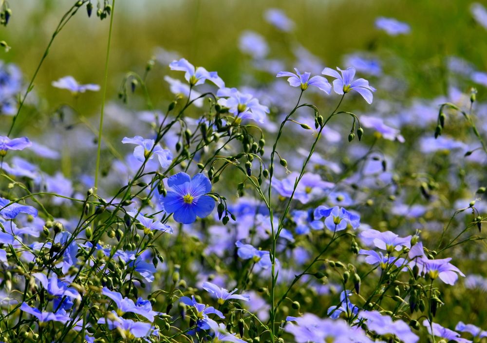 Photograph by Татьяна Калугина