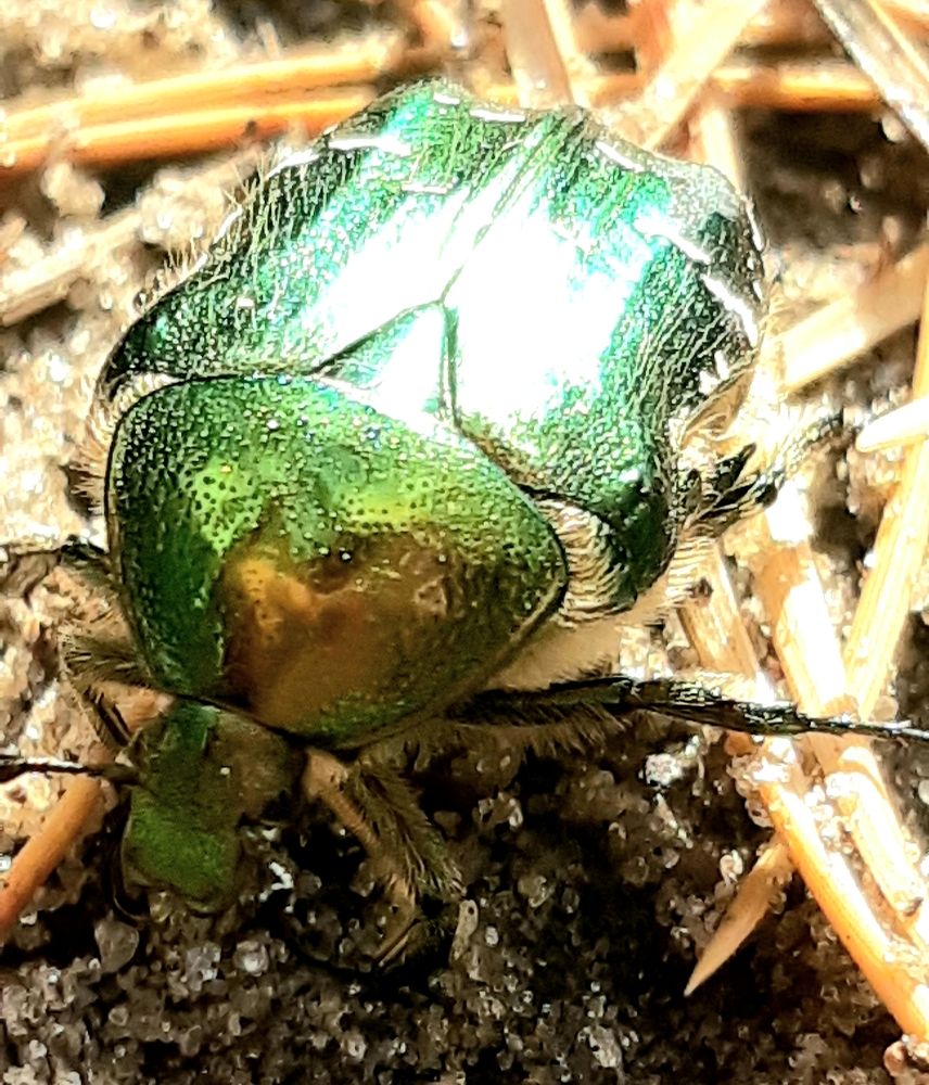 Photograph by Ольга Александрова