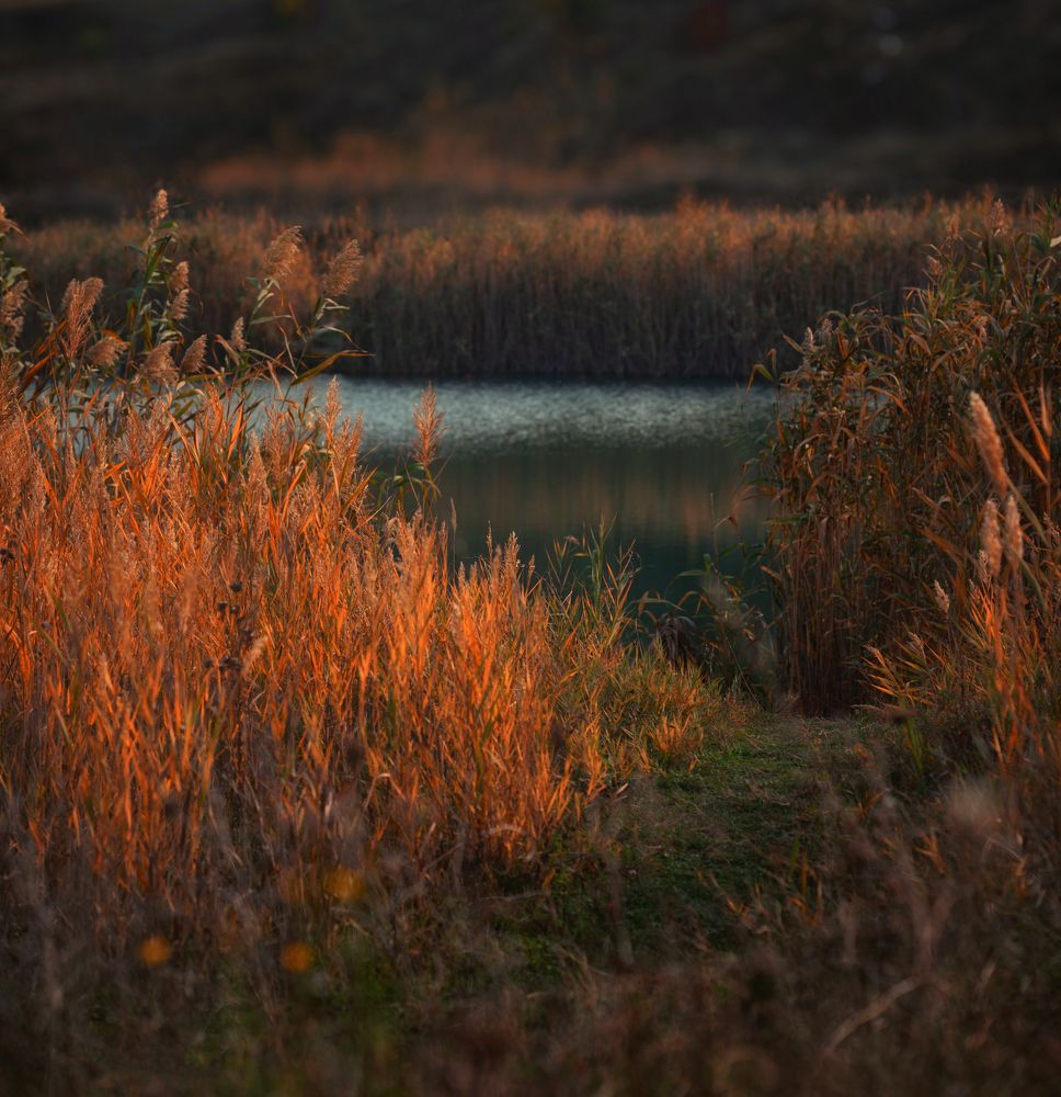 Photograph by Оксана Пономаренко