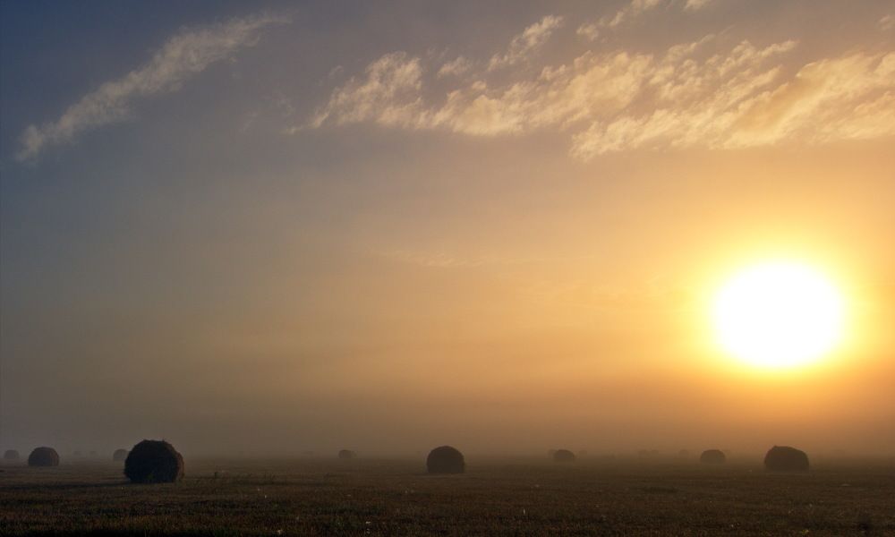 Photograph by Алексей Куренков