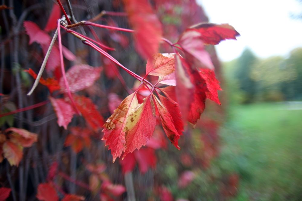 Photograph by Игорь Кад