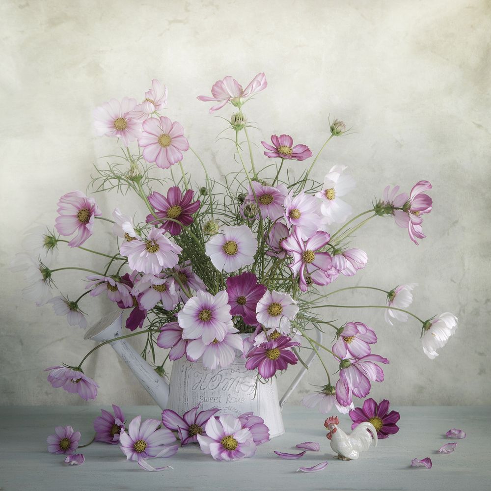 Деревенский натюрморт