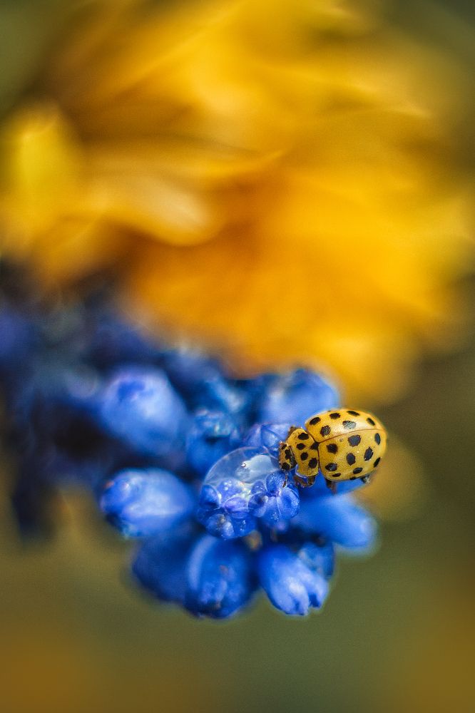 Photograph by Алена