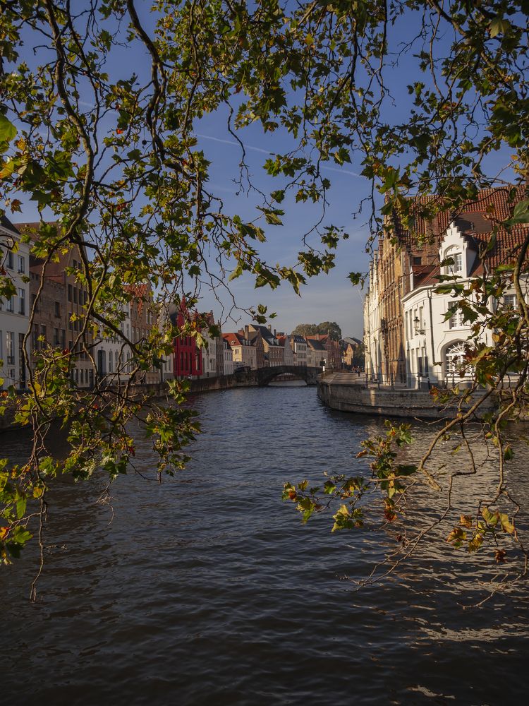 Фотография автора Madina Musaeva