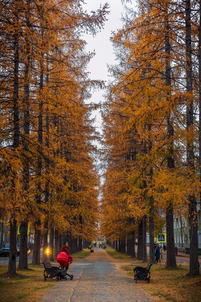 Фотография автора Алексей Крючков