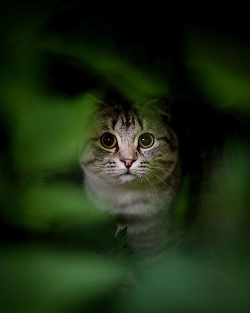 Фотография автора Алексей Крючков