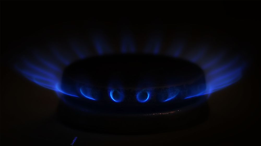 Photograph by Алексей Парамонов