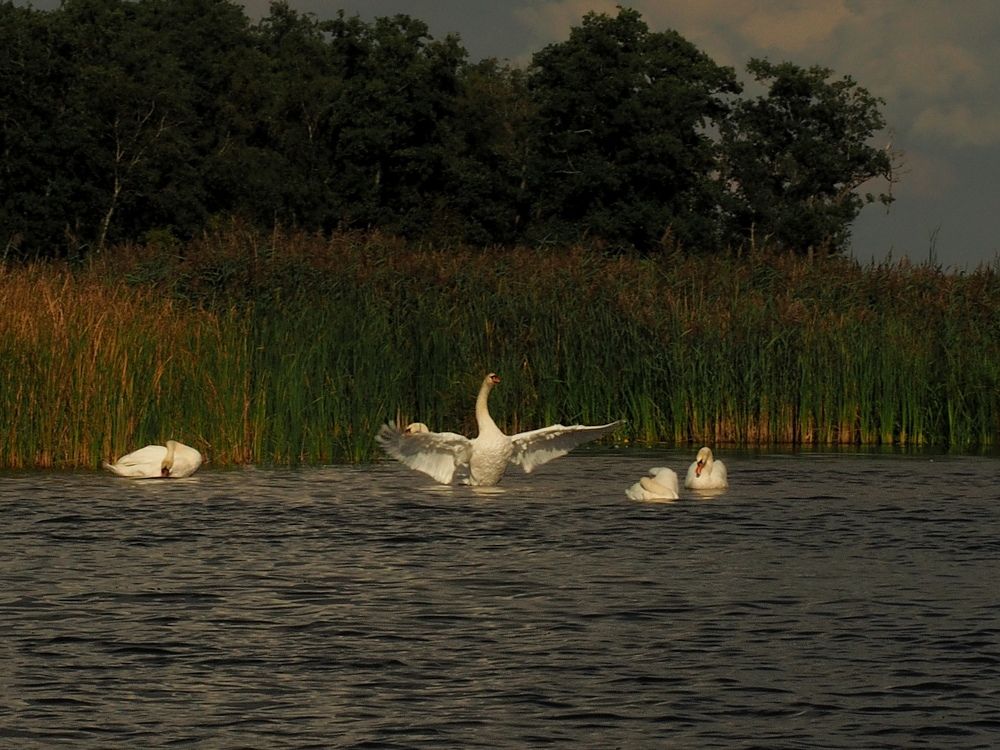 Фотография автора Madina Musaeva