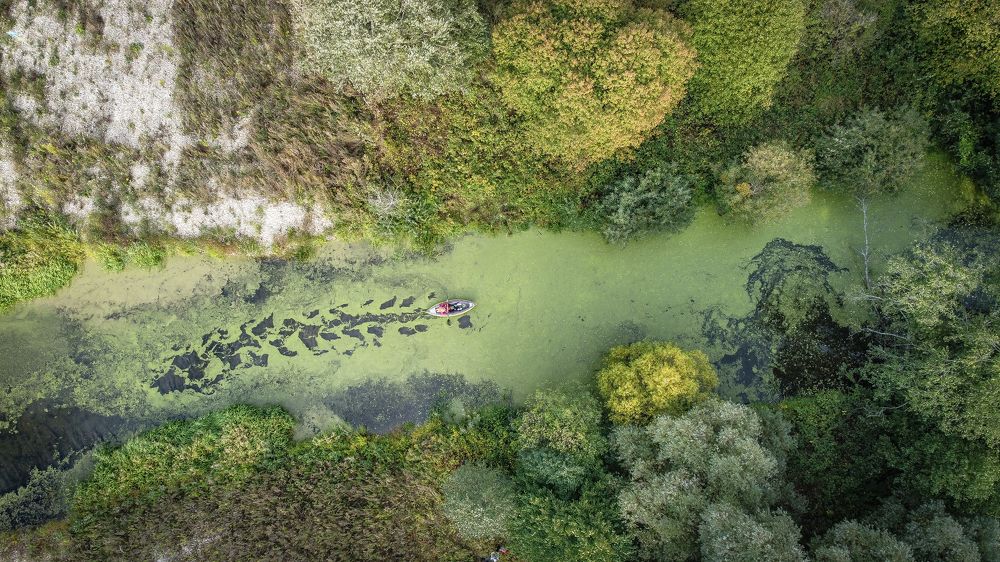 Photograph by Юрий Гаврилов