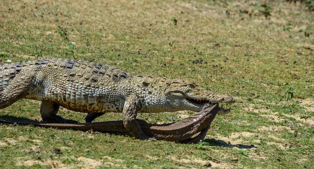 Photograph by Pakalon Janakan