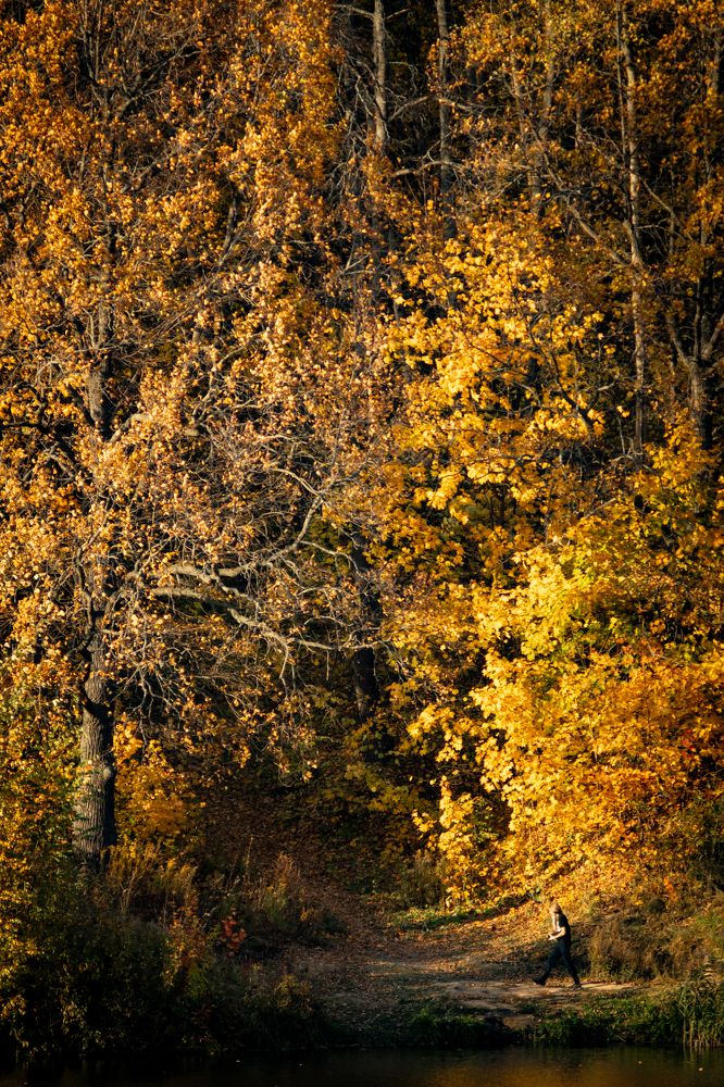 Photograph by Георгий Шитов