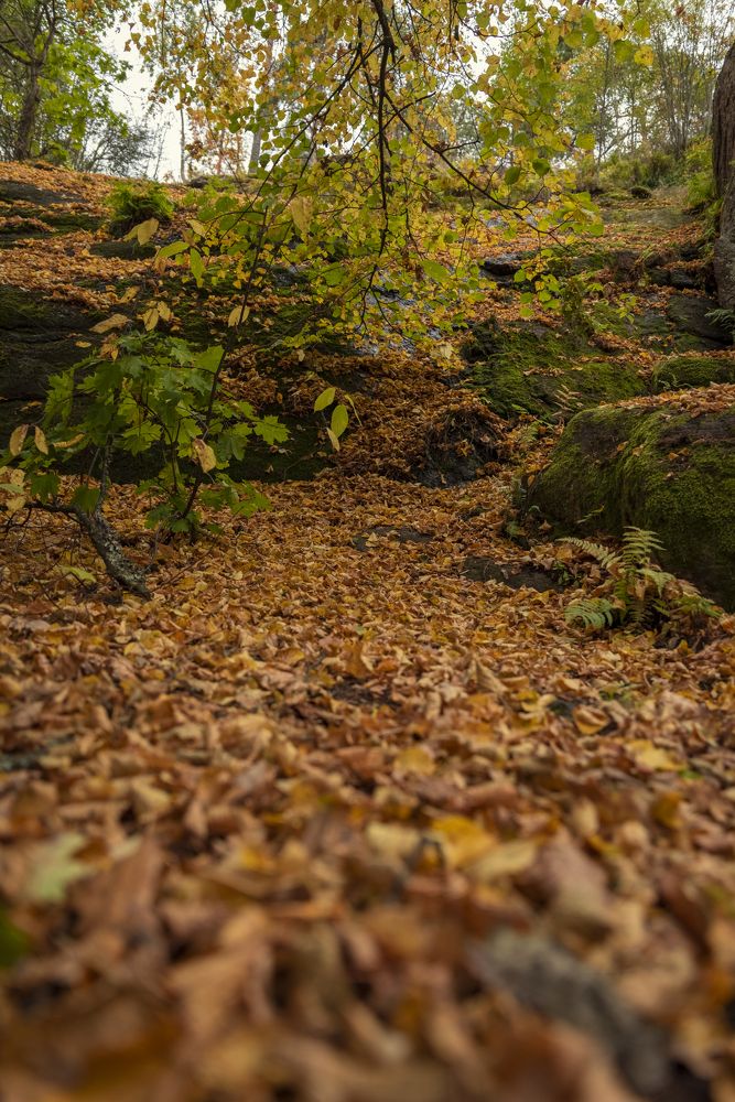 Photograph by Сергей Комаров