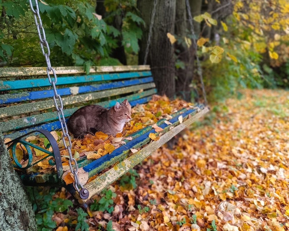 Photograph by Светлана Кондрашова