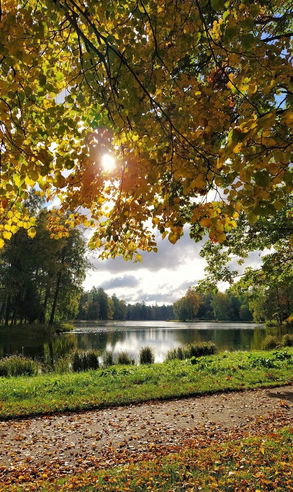Photograph by Николай Мюллер