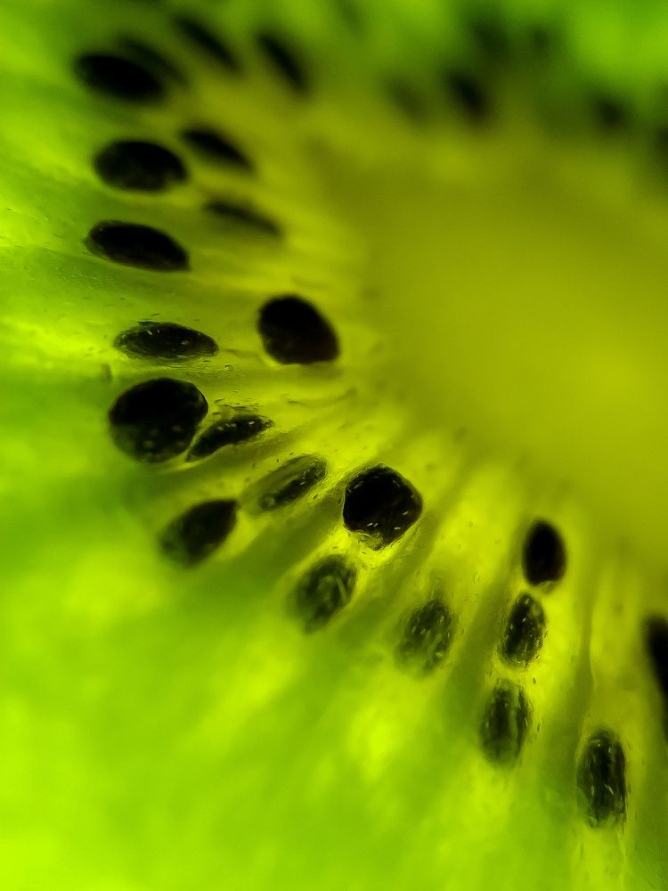 Фотография автора Наталья Алексеева