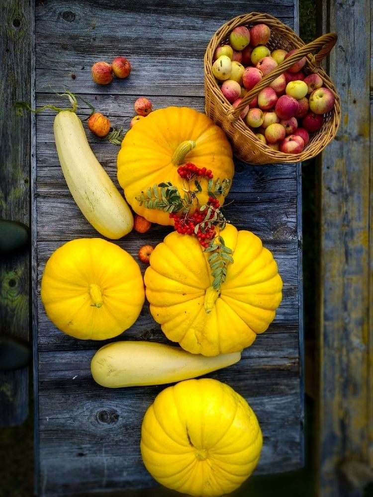 Pumpkins, zucchini and apples