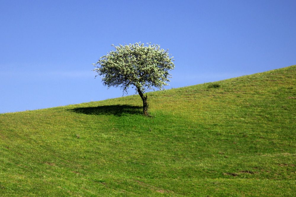 Photograph by Лада Денисова