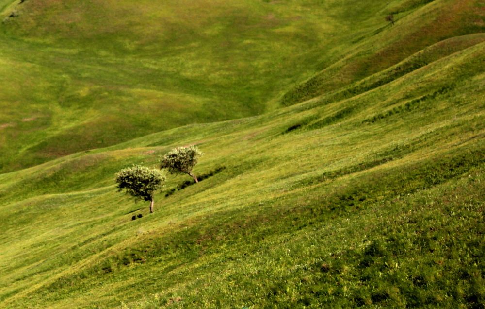 Photograph by Лада Денисова