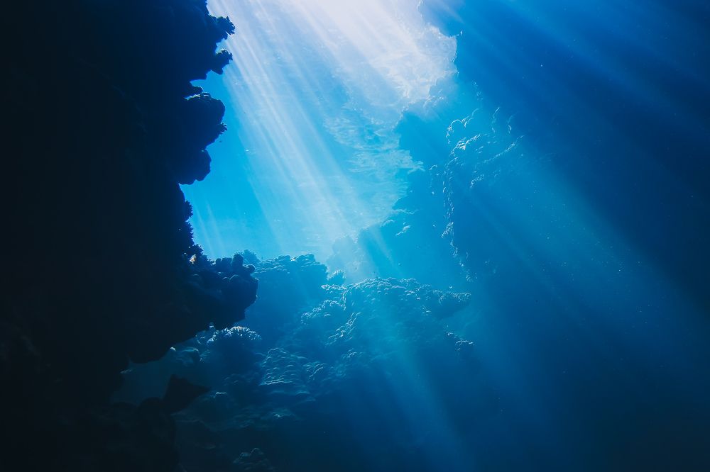 Photograph by Илья Труханов