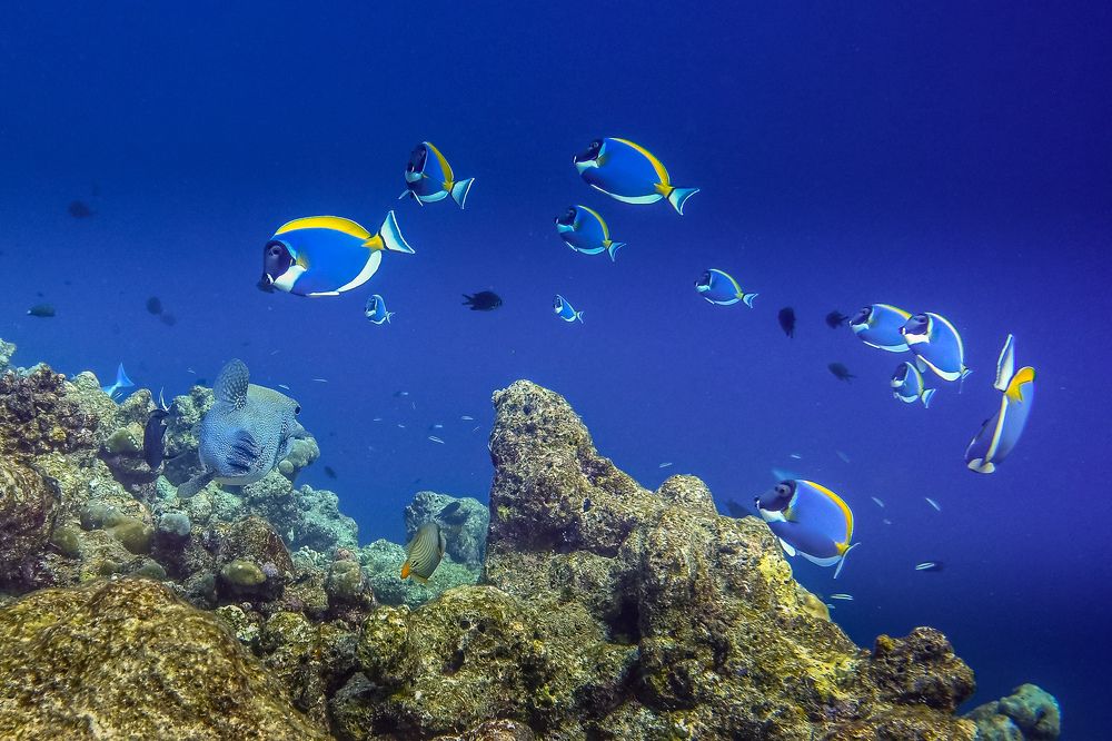 Photograph by Илья Труханов