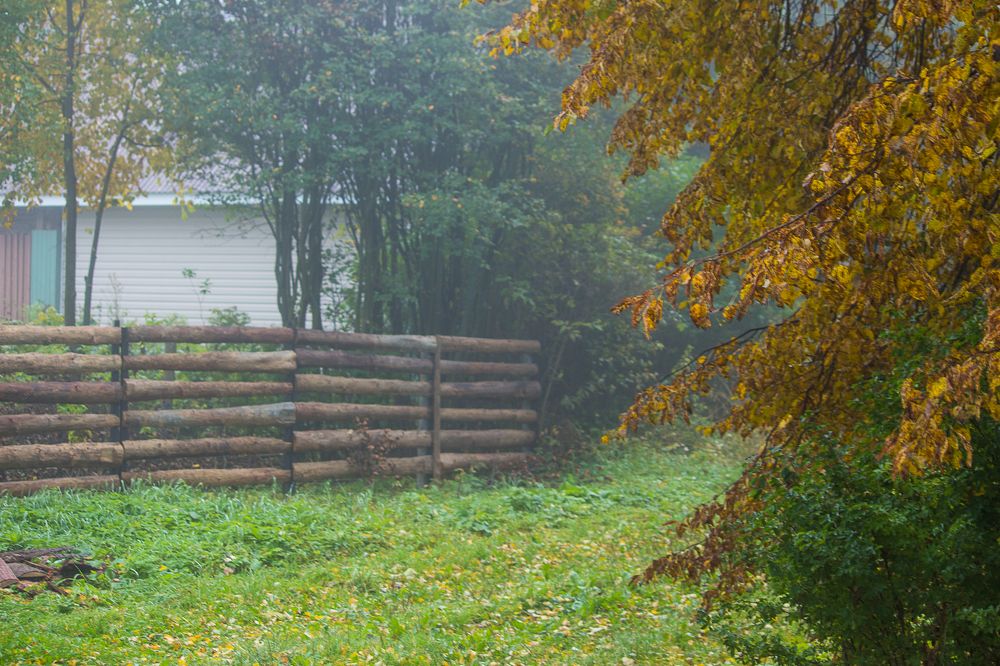Туманное утро в деревне
