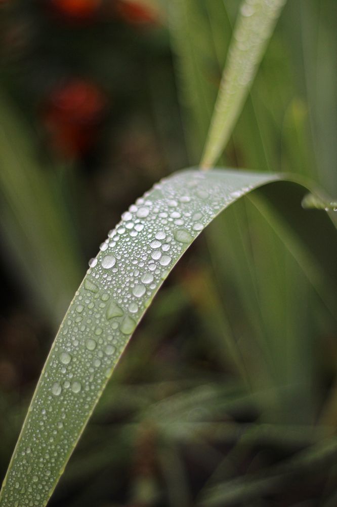 Photograph by Людмила Васильева
