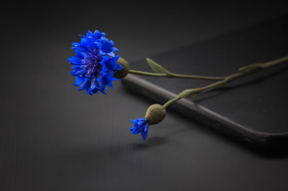 Photograph by Vasily Prokhorov