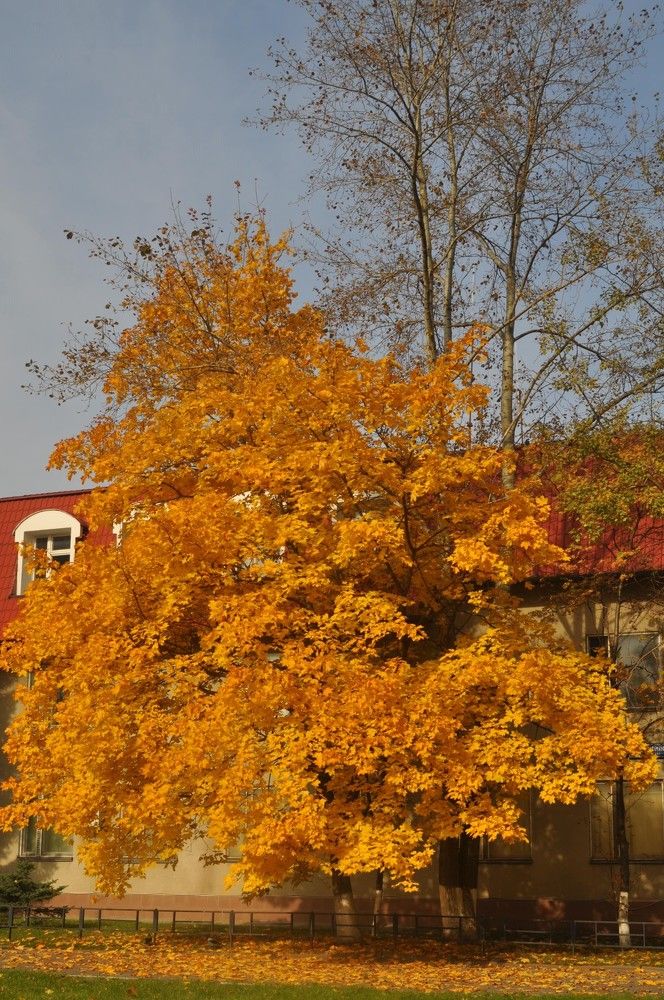 Photograph by Хвостов владимир Владимирович