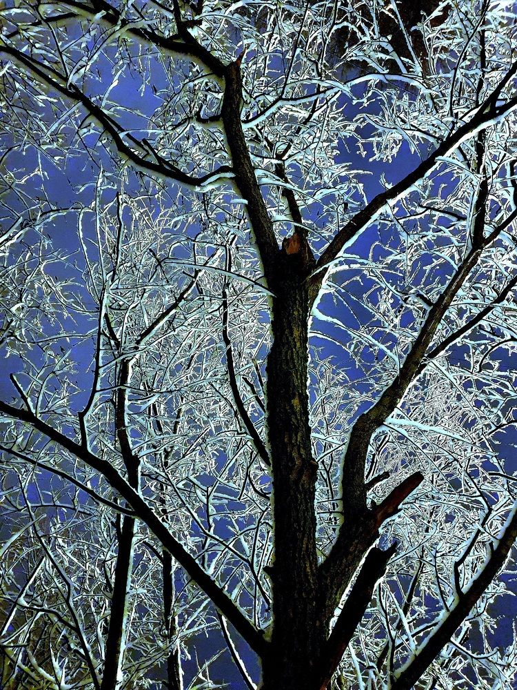 Photograph by Яна Гал