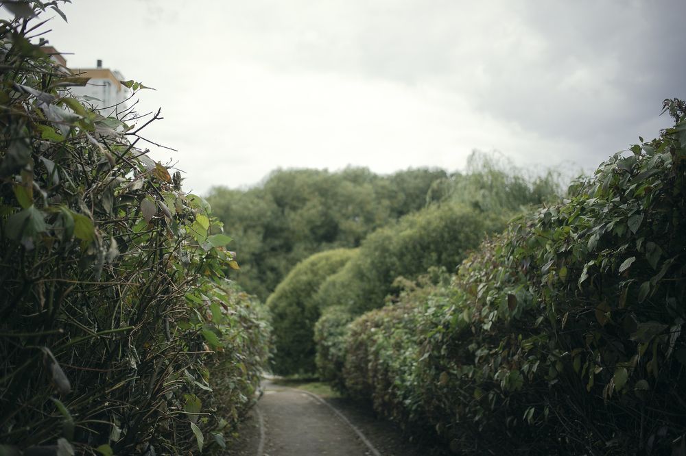 Фотография автора Ольга Матусевич