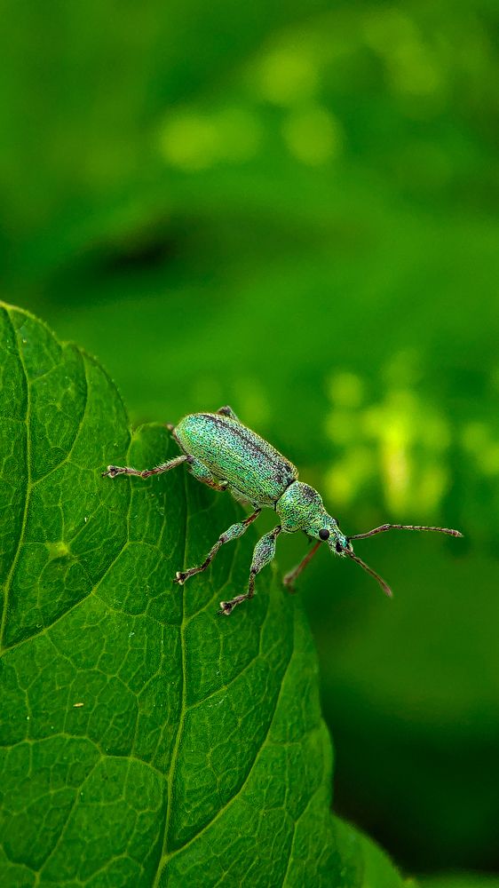 Photograph by Романова Мария