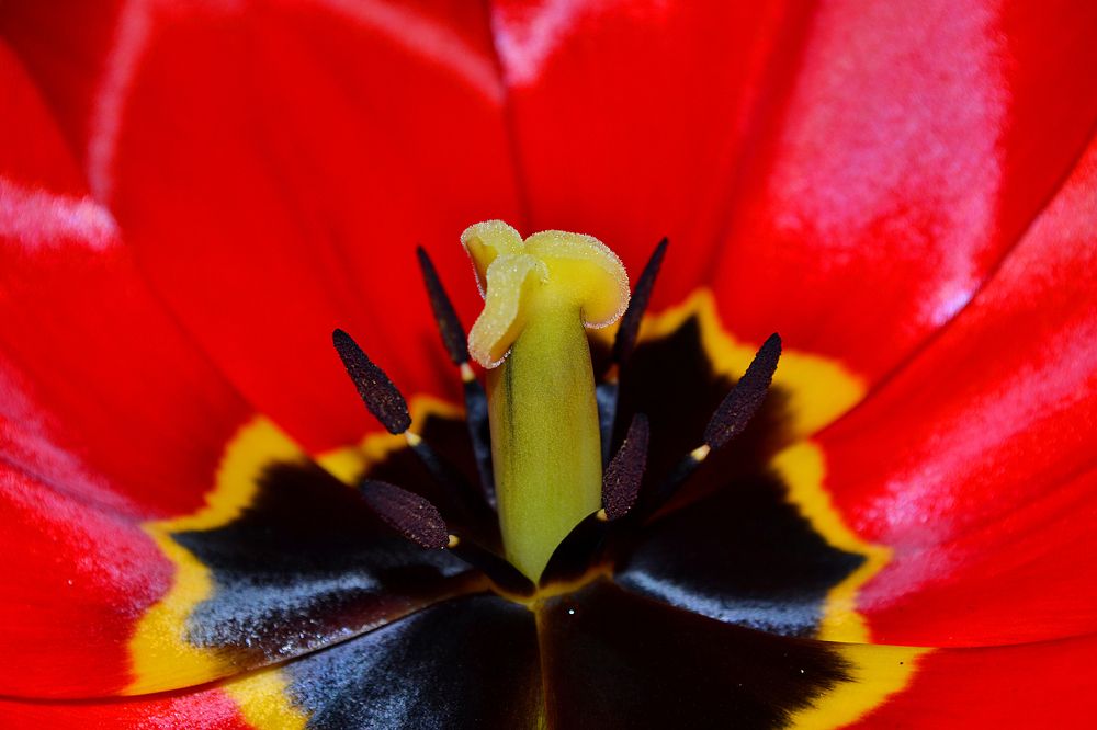 Photograph by Cергей Землянский