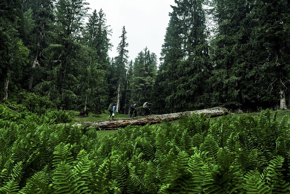 Photograph by Partha Dam