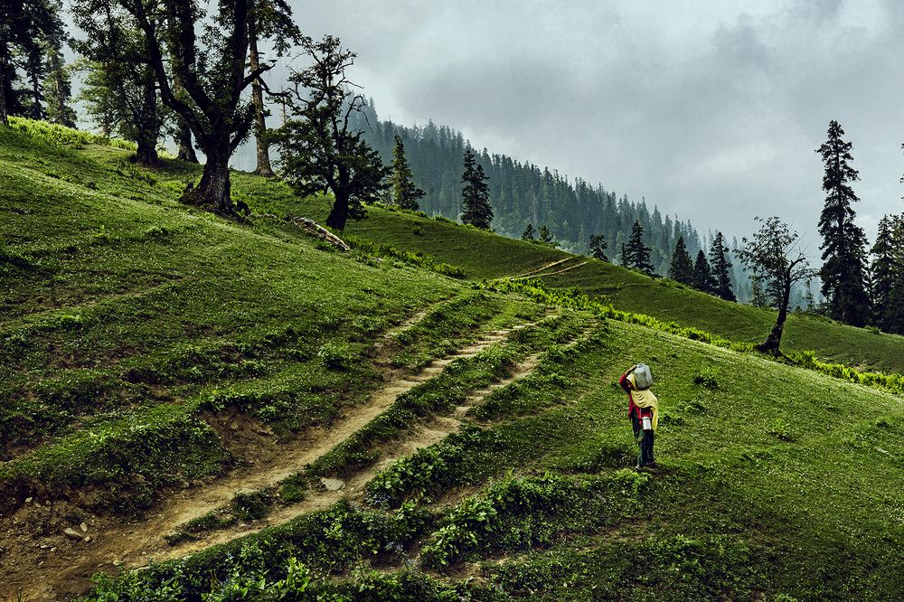 Photograph by Partha Dam