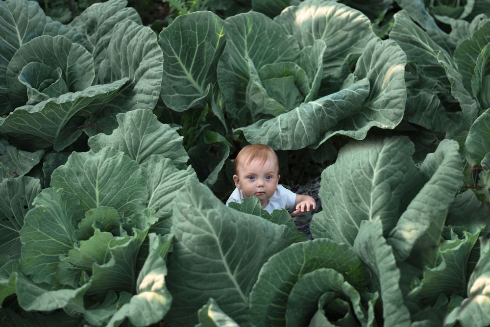 Фотография автора Екатерина Шаманаева