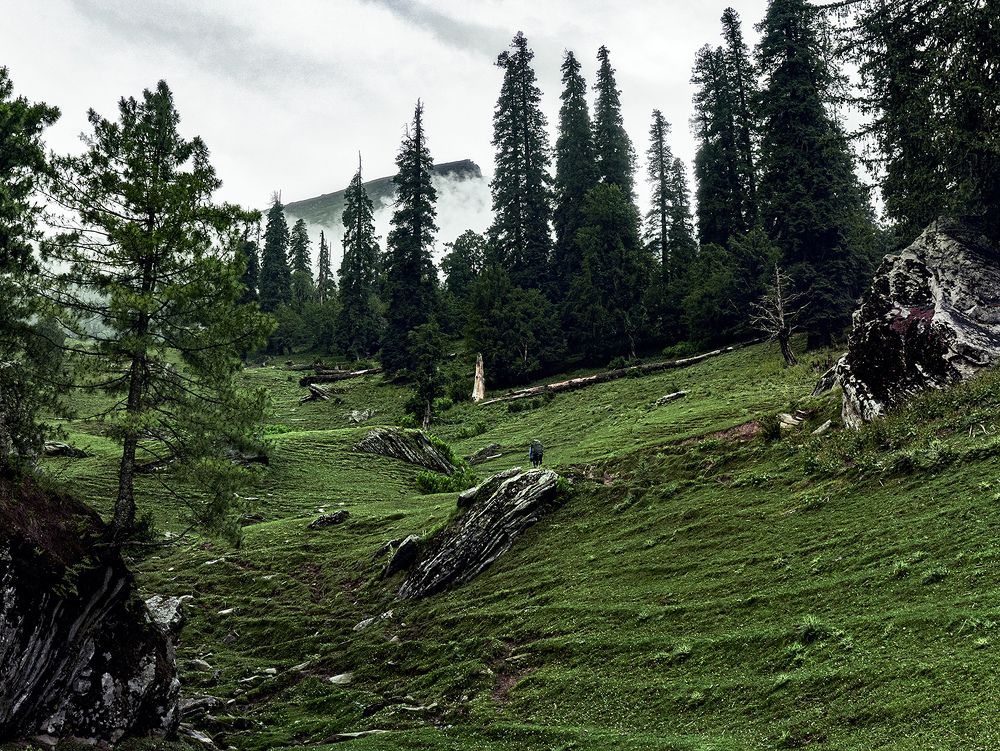 Photograph by Partha Dam