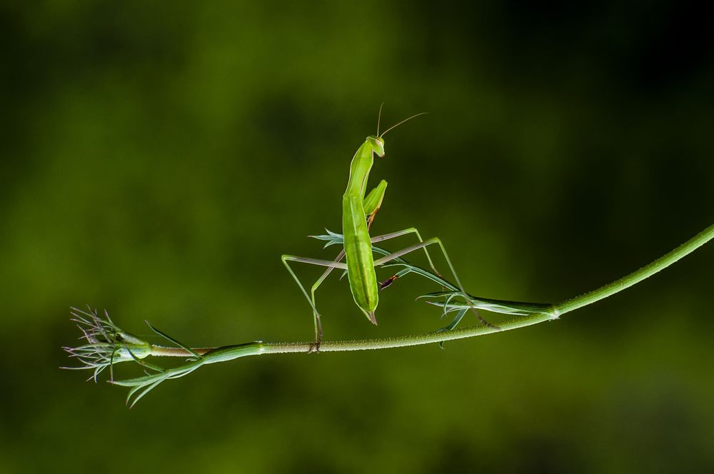 Фотография автора Fikriye Er
