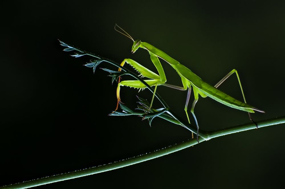 Photograph by Fikriye Er