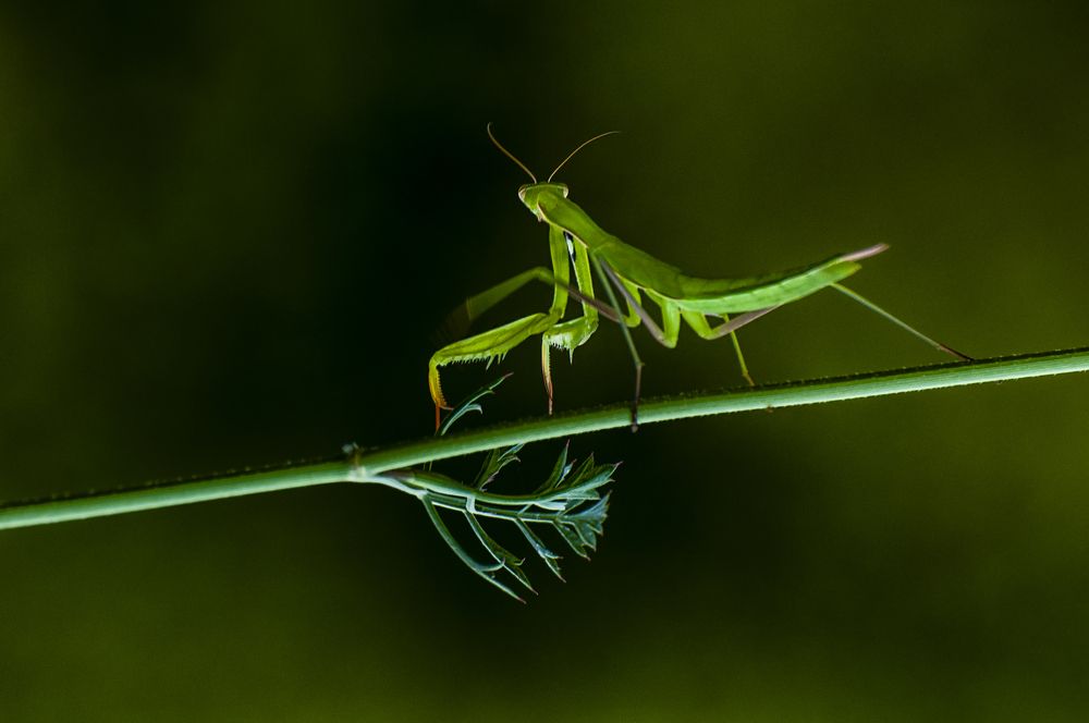 Фотография автора Fikriye Er