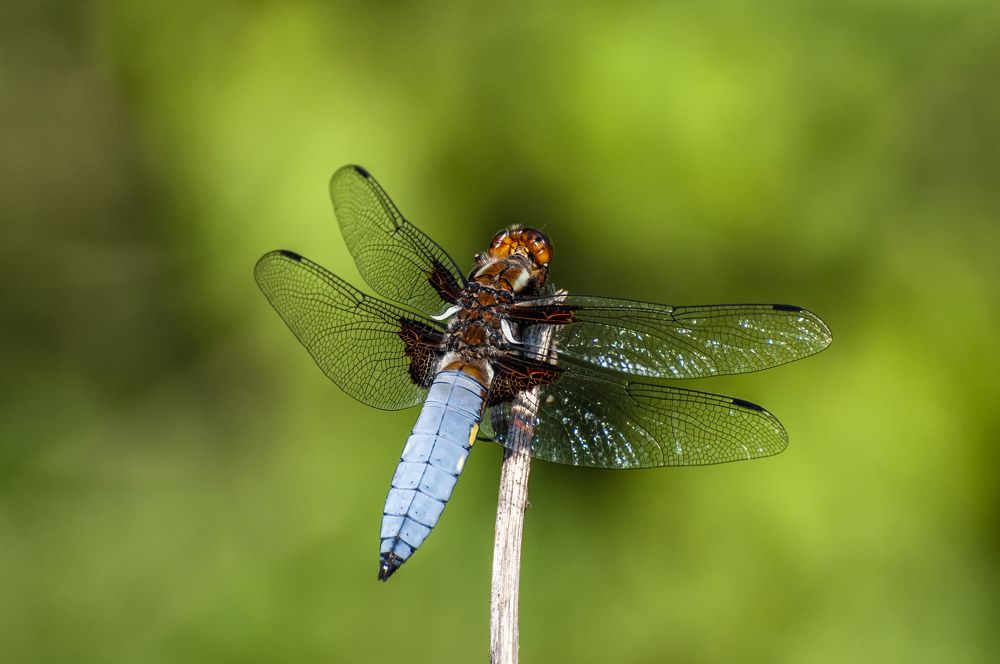 Фотография автора Fikriye Er