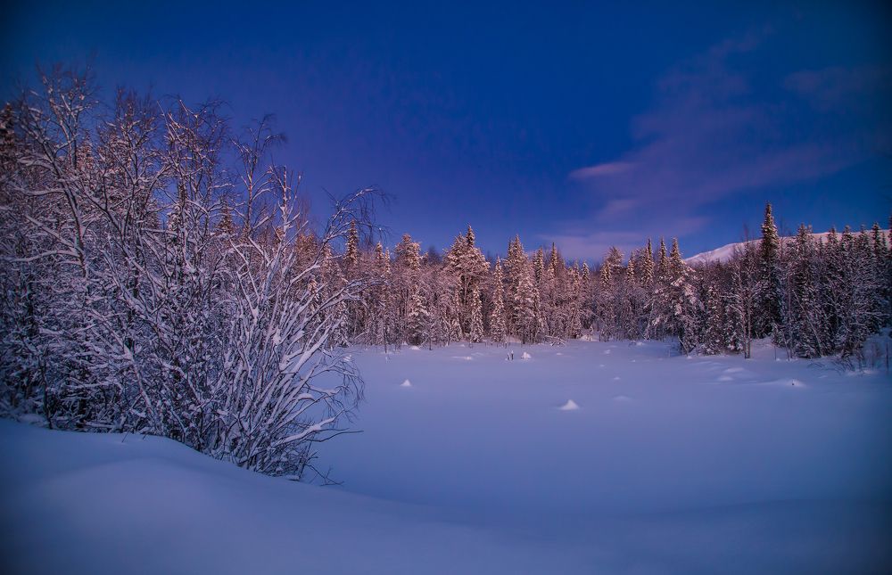 Photograph by Покровский Алексей