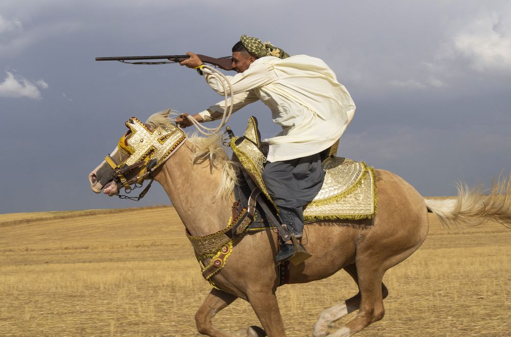 Photograph by Mohamed Kaouche