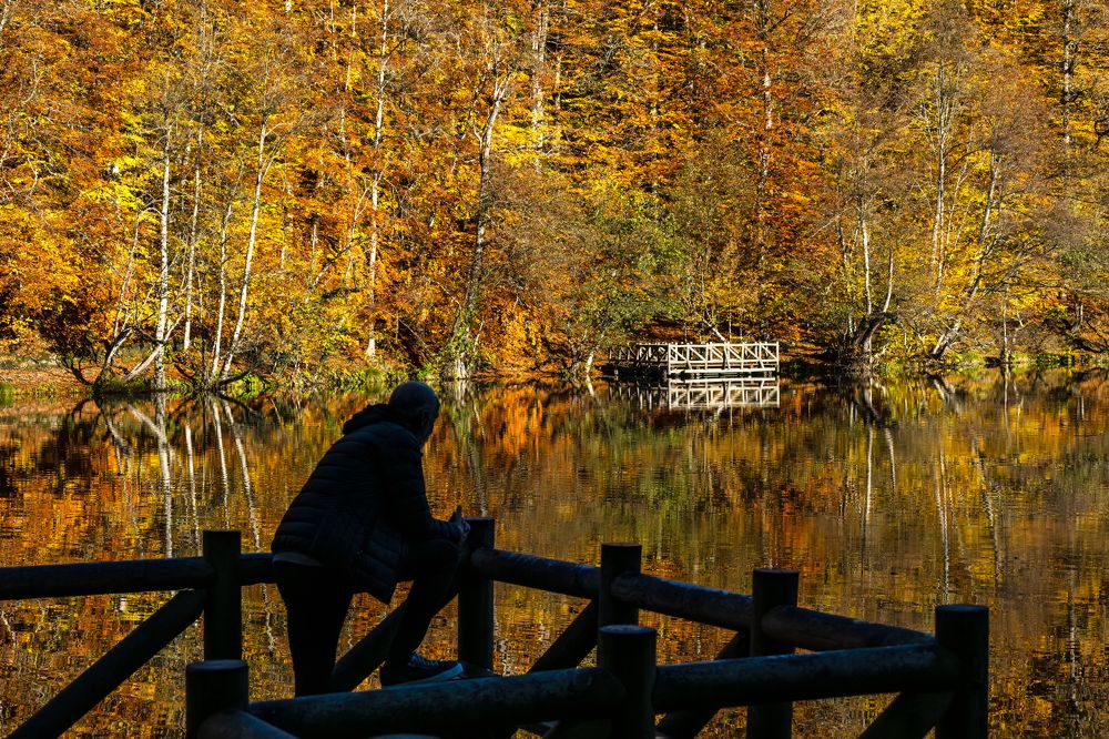 Фотография автора Fikriye Er