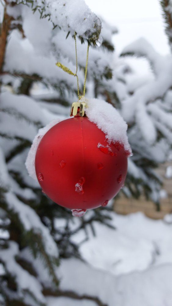 Photograph by ЭЛЬМИРА  ИСМАИЛОВА